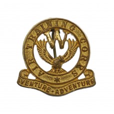 Air Training Corps (A.T.C.) Welfare Lapel Badge