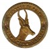 South African Infantry Cap Badge