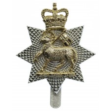 The Queen's Royal Surrey Regiment Anodised (Staybrite) Cap Badge