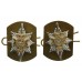 Pair of Worcestershire & Sherwood Foresters Anodised (Staybrite) Collar Badges