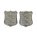 Pair of Hull City Police Collar Badges