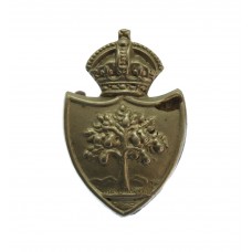 Worcestershire Constabulary White Metal Collar Badge - King's Crown