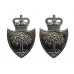 Pair of Worcestershire Constabulary Collar Badges - Queen's Crown