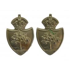 Pair of Worcestershire Constabulary White Metal Collar Badges - King's Crown