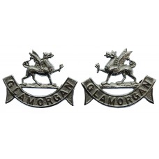 Pair of Glamorgan Constabulary Chrome Collar Badges