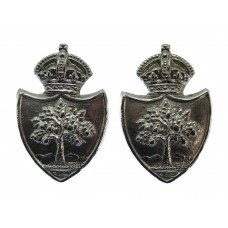 Pair of Worcestershire Constabulary Chrome Collar Badges - King's