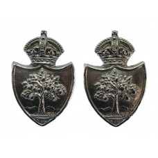 Pair of Worcestershire Constabulary Chrome Collar Badges - King's Crown