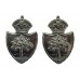 Pair of Worcestershire Constabulary Chrome Collar Badges - King's Crown