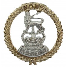 Mons Officer Cadet School Anodised (Staybrite) Cap Badge