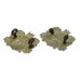 Pair of Cambridge Borough Police White Metal Collar Badges