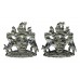 Pair of Devon & Exeter Joint Constabulary Collar Badges
