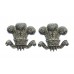 Pair of Renfrew & Bute Police Collar Badges