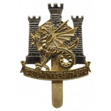 Exeter University O.T.C. Anodised (Staybrite) Cap Badge