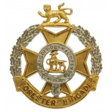 Forester Brigade Officer's Silvered & Gilt Cap Badge