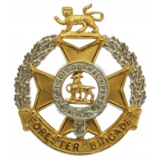 Forester Brigade Officer's Silvered & Gilt Cap Badge