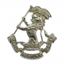 West Riding Regiment (Duke of Wellington's) Anodised (Staybrite) Collar Badge