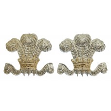 Pair of Royal Hussars Anodised (Staybrite) Collar Badges