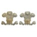 Pair of Royal Hussars Anodised (Staybrite) Collar Badges