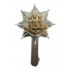 Royal Anglian Regiment Anodised (Staybrite) Cap Badge