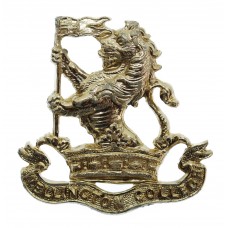 Wellington College O.T.C. Anodised (Staybrite) Cap Badge