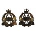 Pair of Royal New Zealand Armoured Corps Anodised (Staybrite) Collar Badges