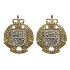 Pair of Royal New Zealand Dental Corps Anodised (Staybrite) Collar Badges