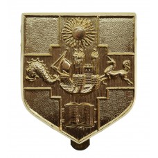 Bristol University O.T.C. Anodised (Staybrite) Cap Badge