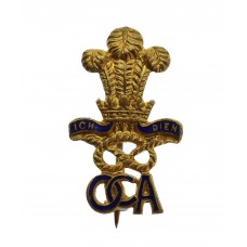 North Staffordshire Regiment Old Comrades Association Enamelled Lapel Badge