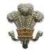 Royal Wiltshire Yeomanry Anodised (Staybrite) Cap Badge