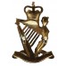 Royal Irish Rangers Anodised (Staybrite) Cap Badge