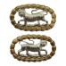 Pair of Royal Leicestershire Regiment Anodised (Staybrite) Collar Badges