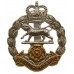 Royal Hampshire Regiment Anodised (Staybrite) Cap Badge