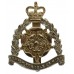 Hampshire & Isle of Wight Territorials Anodised (Staybrite) Cap Badge