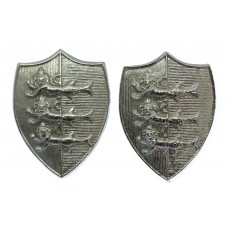Pair of Great Yarmouth Police Collar Badges