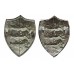 Pair of Great Yarmouth Police Collar Badges