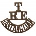 Royal Engineers Territorials East Anglian Divisional Engineers (T/RE/EASTANGLIAN) Shoulder Title