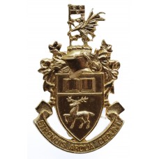 Southampton University O.T.C. Anodised (Staybrite) Cap Badge