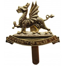 University of Wales O.T.C. Anodised (Staybrite) Cap Badge
