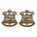 Pair of Devonshire & Dorset Regiment Anodised (Staybrite) Collar Badges