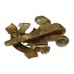 Welsh Regiment Cap Badge