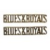 Pair of Blues & Royals (BLUES & ROYALS) Anodised (Staybrite) Shoulder Titles