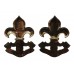 Pair of King's Regiment Anodised (Staybrite) Collar Badges