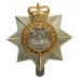 Devonshire Regiment Anodised (Staybrite) Cap Badge - Queen's Crown