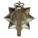 Devonshire Regiment Anodised (Staybrite) Cap Badge - Queen's Crown