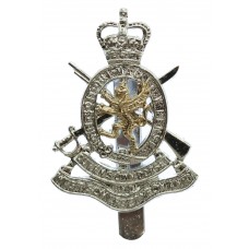 Queen's Own Dorset & West Somerset Yeomanry Anodised (Staybri