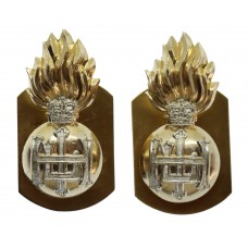 Pair of Royal Highland Fusiliers Anodised (Staybrite) Collar Badges