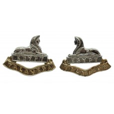 Pair of 2nd Bn. Royal Anglian Regiment Anodised (Staybrite) Collar Badges