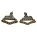 Pair of 2nd Bn. Royal Anglian Regiment Anodised (Staybrite) Collar Badges