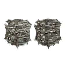 Pair of Hastings Borough Police Collar Badges