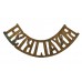 Royal Irish Regiment (ROYAL IRISH) Shoulder Title